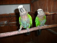 /album/fotogaleria/a21-12-2010-stiahnute-z-karty-katarine-darovana-648-jpg/